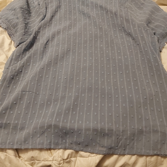 Blouse sky  blue    swiss dot lace    w lining  womens sz L  very pretty - Picture 4 of 8